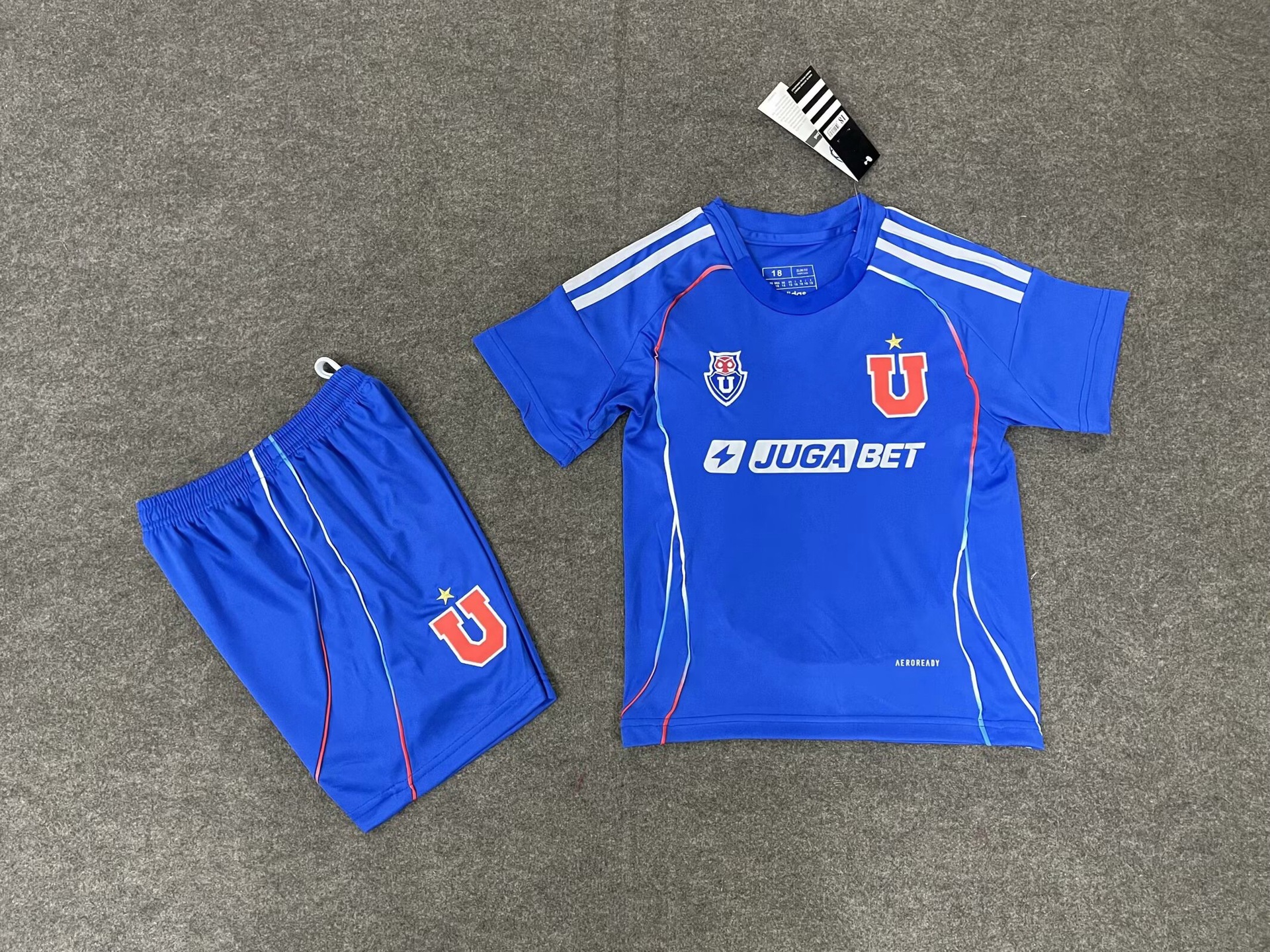 2526university of chile home