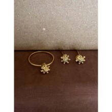 244�n������С���ڸ�õ��ϵ�н�ָ����ˮ��ϵ�OӋ��ʽ�Շ���o1-17