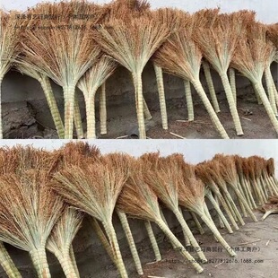 �ֹ��ߴ�Ӻ������������ͥԺ�ߵؒ�����ĥ�p�坍�����߰�����