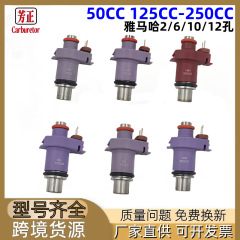 オートバイの燃料噴射器はヤマハ50CC 125c-250ccノズル2/6/10/12穴を適用します。