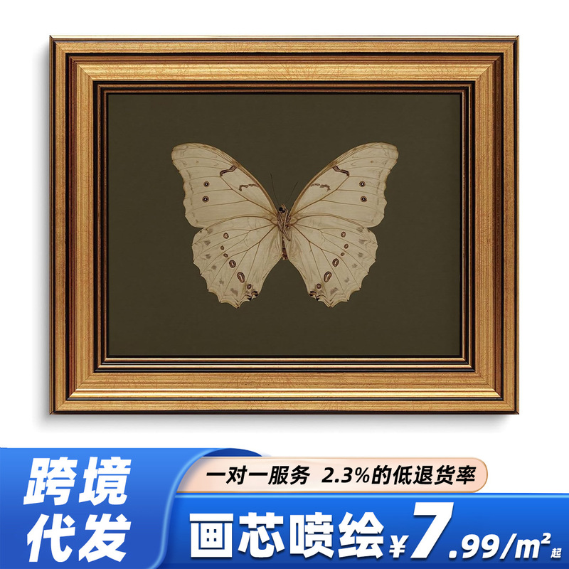 Factory direct supply of Amazon's best-selling butterfly decorative paintings, spray-painted canvas art prints, vintage natural art wall hangings