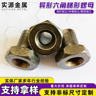 定制冷镦异型螺母加工非标件异形件冷挤压台阶栓冷镦外六角螺丝