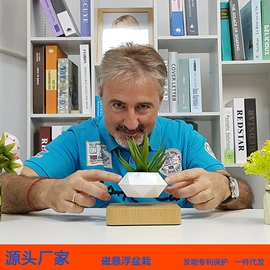 塑料工艺品;展示架;其他装饰摆件