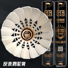 ����6��ë���ʹ����Zë���^���I����Ӗ����ِ����12ֻ�b�w�з���