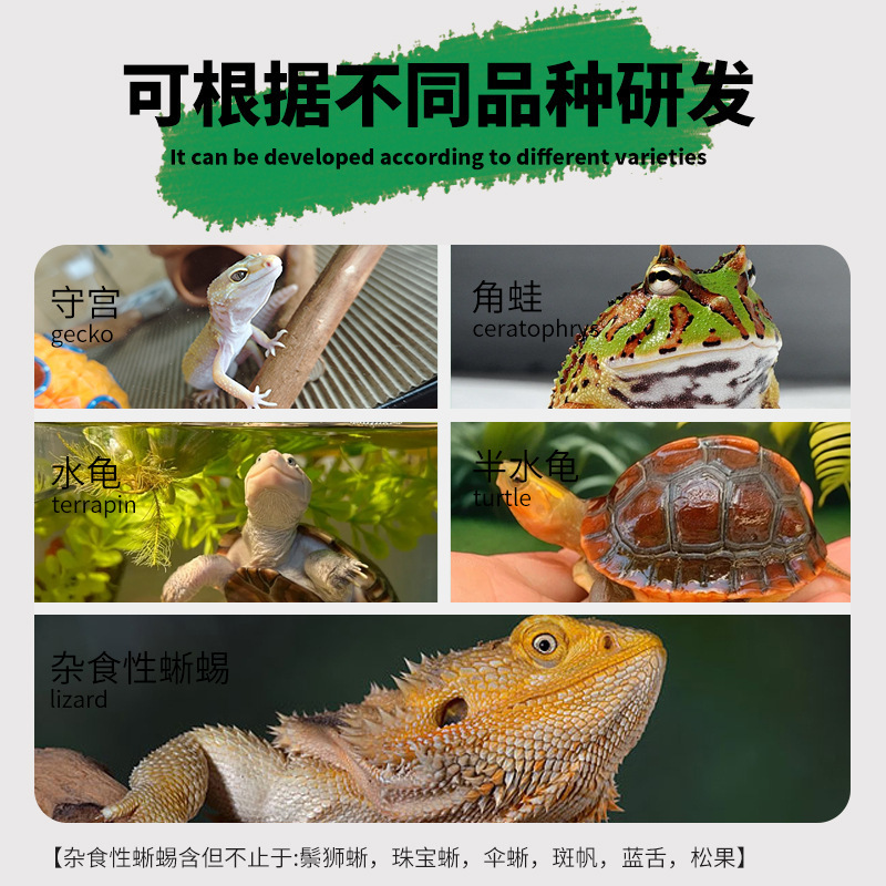爬虫類昆虫肉泥ゲル袋入りヒョウ柄ヤマトトカゲブルータングリーカメ特別飼料果肉泥|undefined