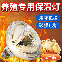 ���µƽ�����������С���з����Ӻ��ˮ��ֳȡů����������ֳ����