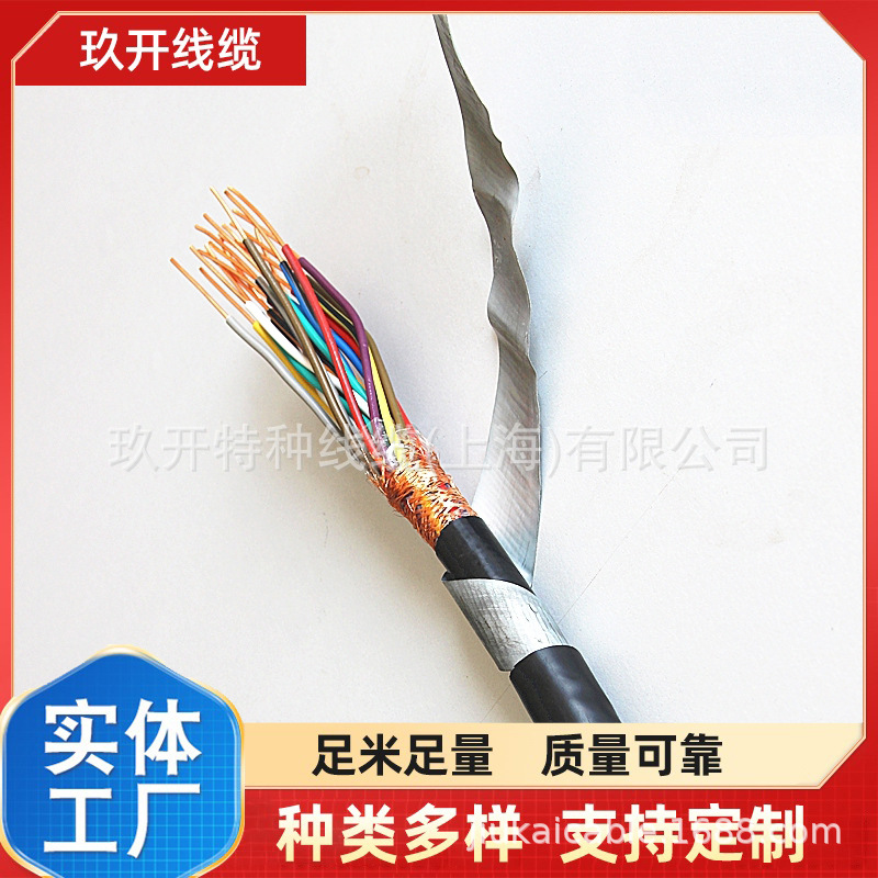 DJYPVP/DJYPVPR抗干扰屏蔽计算机电缆 DJYP2V