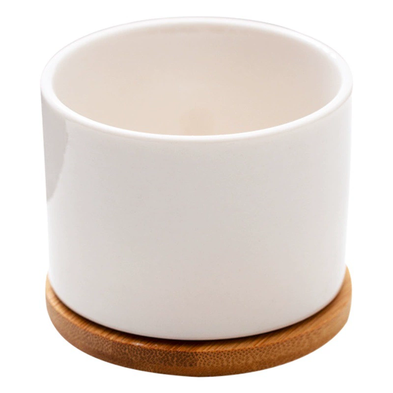 Белые фарфоровые горшки для суккулентов Amazon, современные керамические маленькие белые горшки для домашнего садоводства, простые горшки для суккулентов оптом для трансграничной торговли