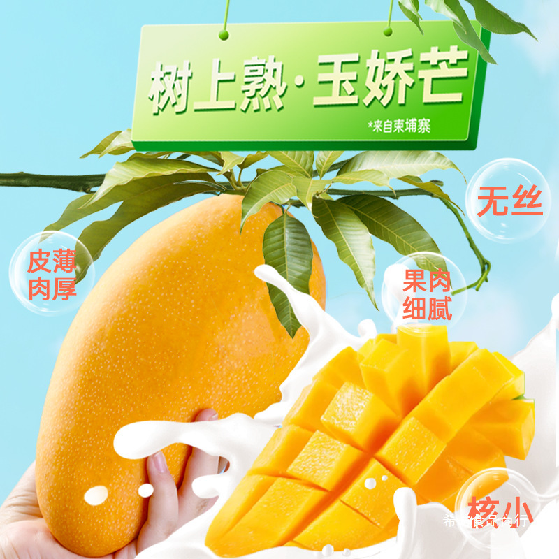 薛记炒货轻乳芒果奶糕128g*2奶香莓果芒果牛轧奶糕水果干果脯零食|undefined