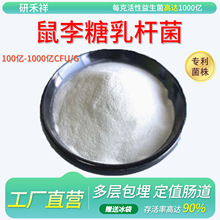 U1000| ɷ ߻ʳƷۏSҬF؛