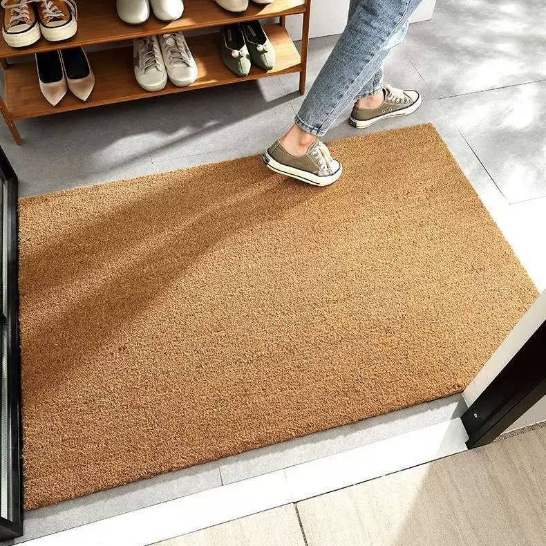 仿椰棕入户门地垫高级感门口蹭土脚垫2025新款耐磨免洗家用门垫
