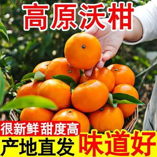 ���̳�һ�����M���ָ̼���5/10�����rˮ�������F���̽����ЋD����