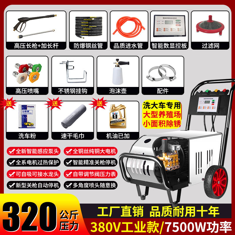 Negro gato industrial comercial ultra-alta presión lavadora de coches domésticos de alta potencia Granja tienda de lavado de coches automática 220V