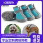 透气防滑软底比熊狗鞋