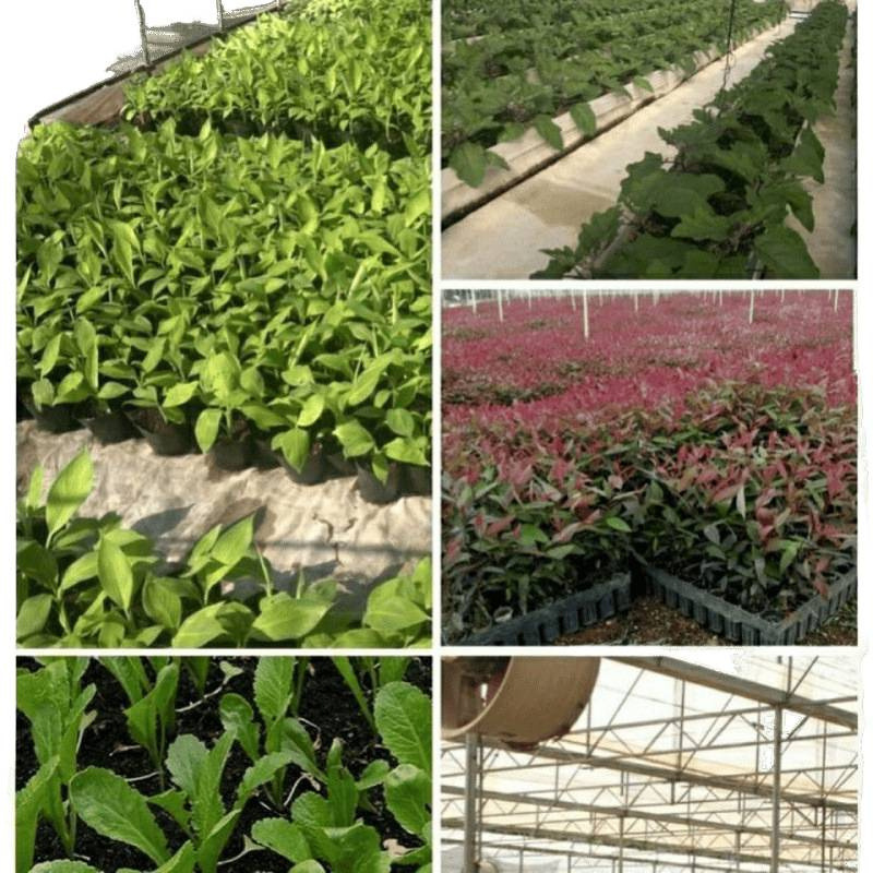 批发营养土斤大包通用型有机种植土壤种菜种花养花盆栽泥土黑土|undefined