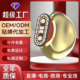 电子美容仪;注氧仪;美容导入仪