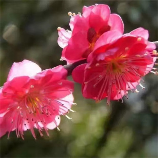 ͥԺֲ��t÷���~÷�G÷����÷��ɰ÷�����D÷���绨�����Ծ��ͺ�