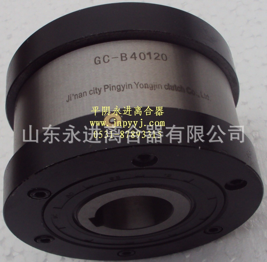 CKZ-C型斗提升机用单向超越离合器逆止器轴承国产高精度输送机