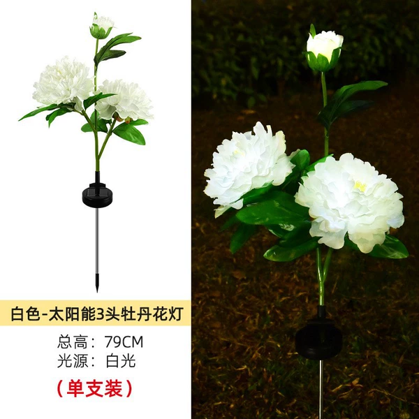 3 peonies white