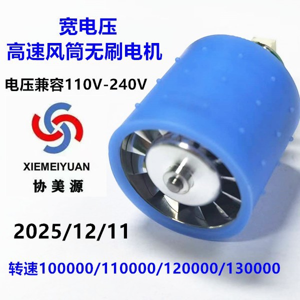 310V110000转马达高速吹风机马达电吹风电机