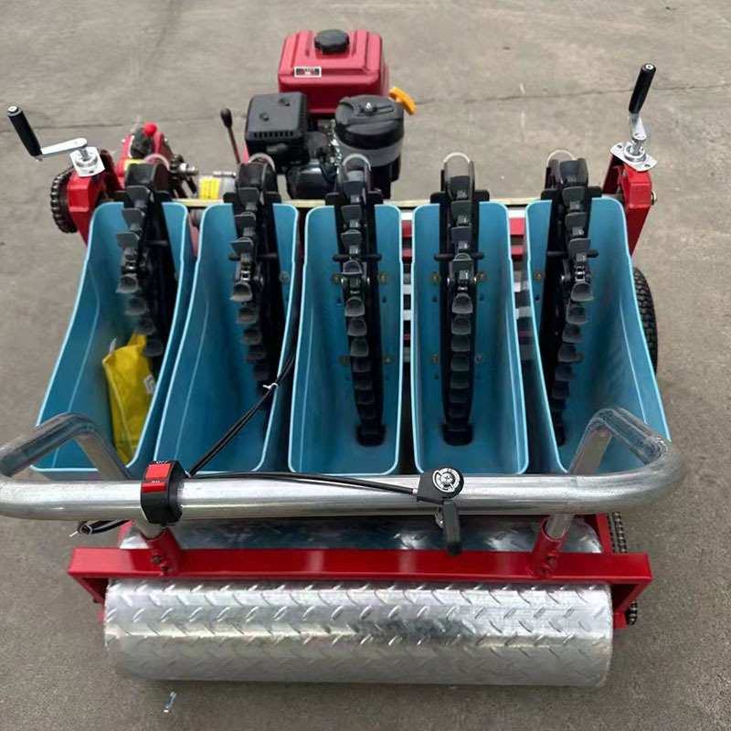 Siembradora de ajo de seis líneas de auto-propulsión de gasolina, siembradora de ajo a pedido de tracción de cuatro ruedas, siembradora de ajo ajustable en profundidad image 3