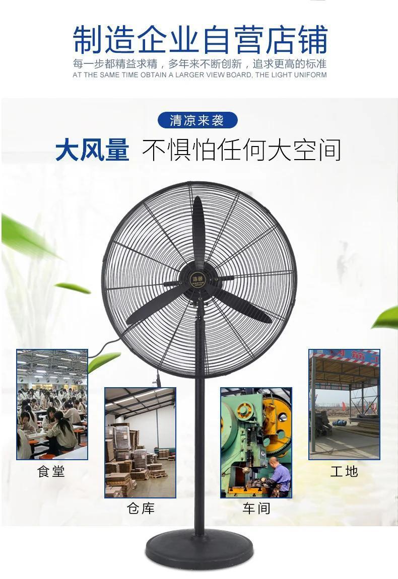 e946d796-8393-43ef-aee3-34c352f06836.jpe