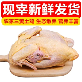 鸡肉类;熟食/即食菜