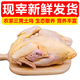 �����r�����S�u ���r������u A��ɢ�B���u����u��ʳ��������]
