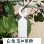 防水塑料林木大树标记牌