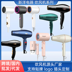 クロスボーダー高回転ヘアドライヤーハイパワー家庭用大風力ヘアドライヤーヘアトリートメントホテルのハンマーブロー筒代発