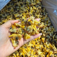 ׸ɸ۸S͘خa؛ll500gr؛l