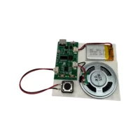 Bluetooth Музыкальный MP3 Модуль Перезаряжаемый Голосовой Воспроизведение Электронный Механизм Мягкая Игрушка Запись Прямые Продажи от Производителя