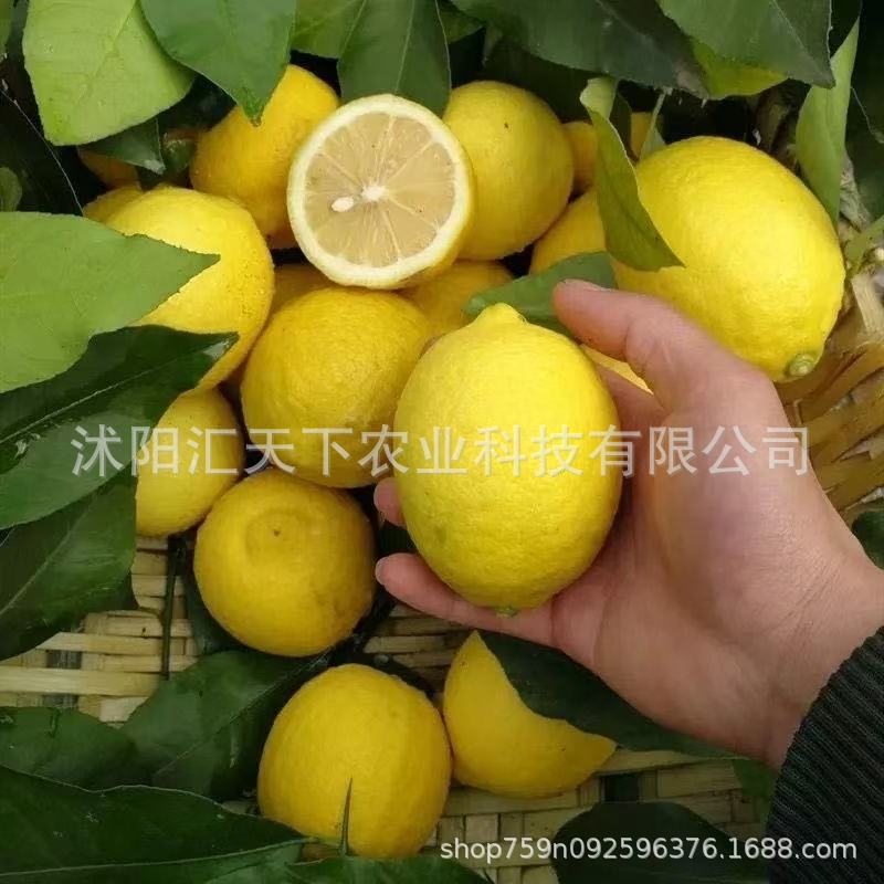 微信图片_20251223205634_1525_56