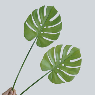 ���W���^�b������ϾGɫֲ�� �׃��@�h�����÷����֧�����~