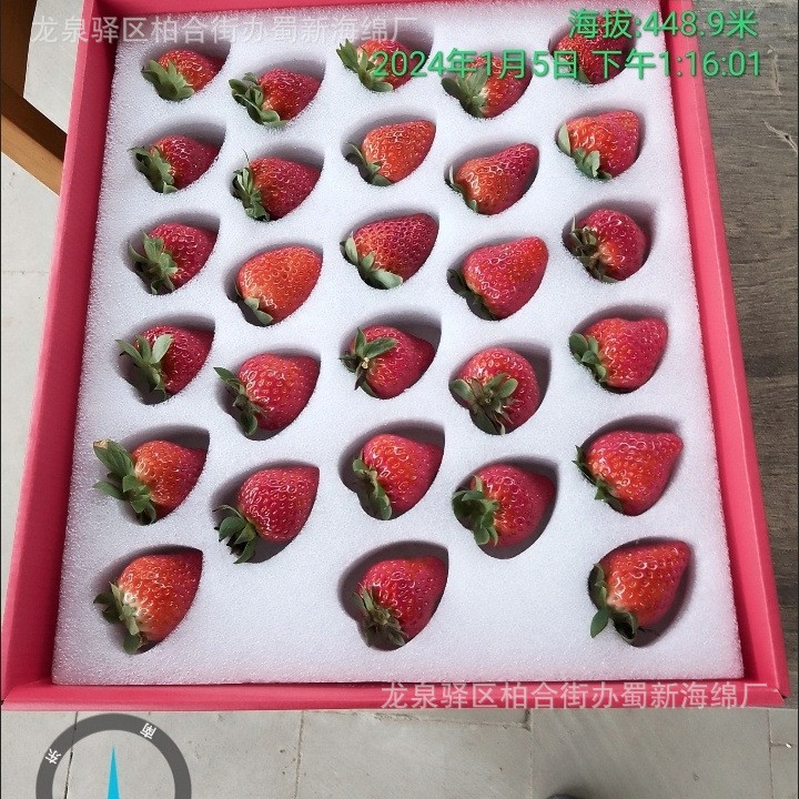 草莓海绵包装/周转草莓海绵包装/防震草莓海绵包装/缓冲草莓海绵