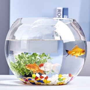 Changzhe Office Small Fish Tank Thickeneded Transparent Glass Turtle Tank Living Room Home Desktop Round Mini Small Gold