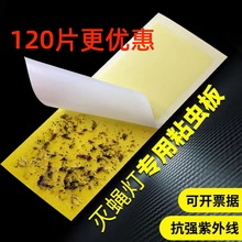 {ɭωωճʽßճNճωճx及nω