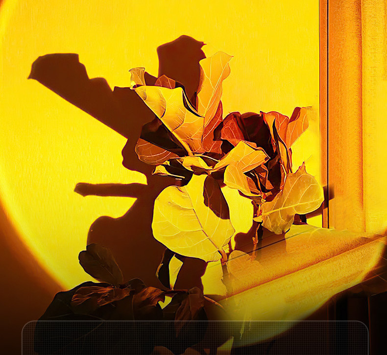 Photography Flashlight Rgb Lighting White Yellow Orange Sunset Studio Rechargeable Four-Light Source