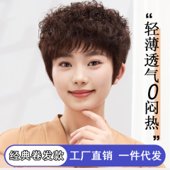 真发假发女全真人发丝头套自然遮白发中老年假发套整顶短卷发头套
