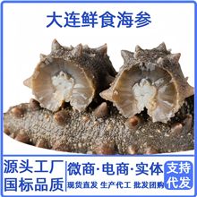 海参厂家批发 大连海参辽刺参即食海参劲道口感鲜食即食海参滋补