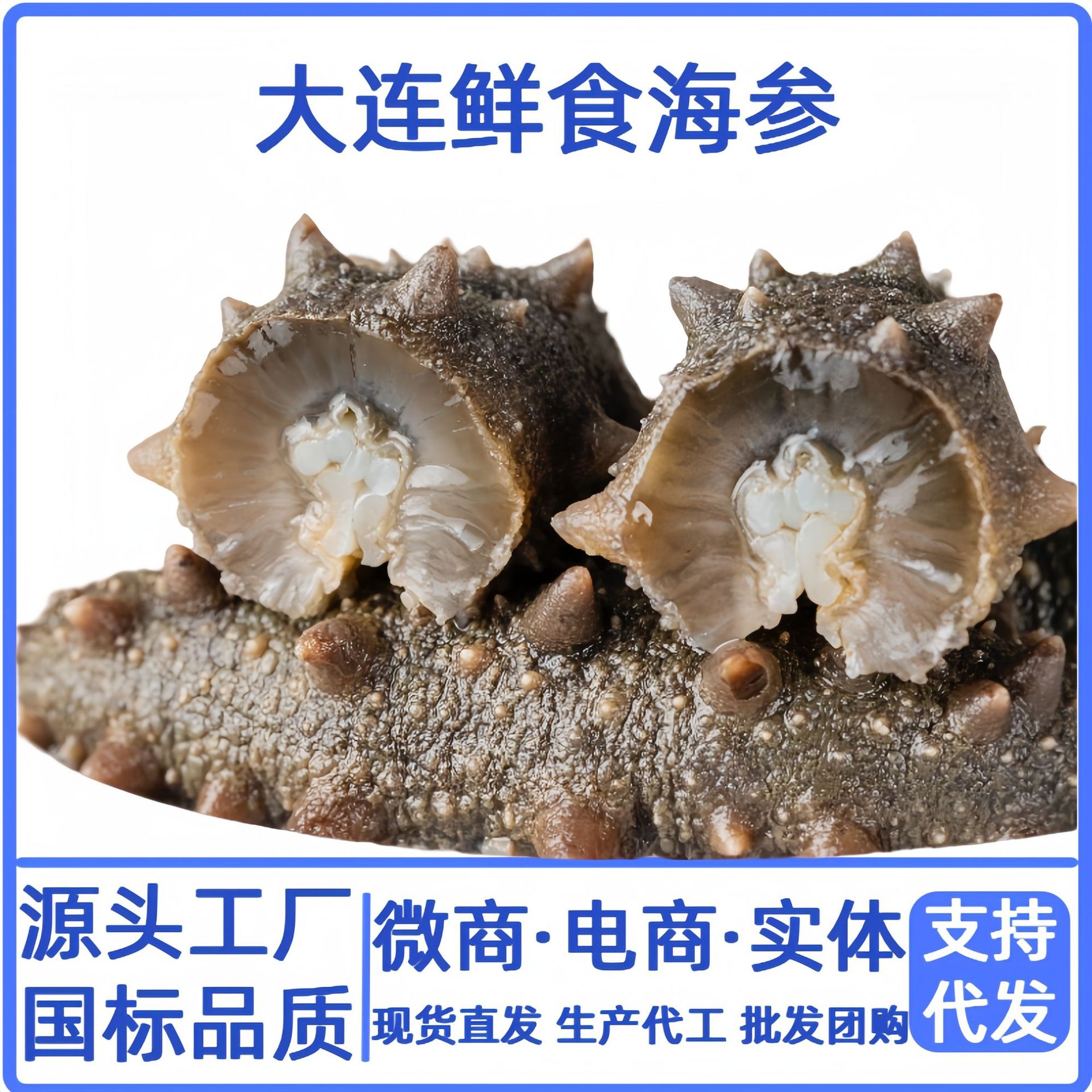 海参厂家批发大连辽刺参即食劲道口感鲜食滋补速食