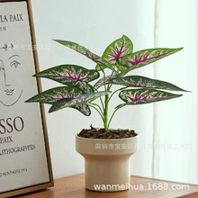 9�^�zƬ�~�������~��ֲ�����Gֲ�m�ϼҾӑ���Ժ���b羳���l