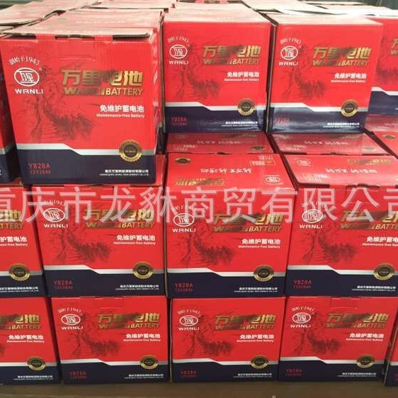 宗申三轮车华丰YB32蓄电池 三轮车6-QW-36蓄电池 微耕机6DM18