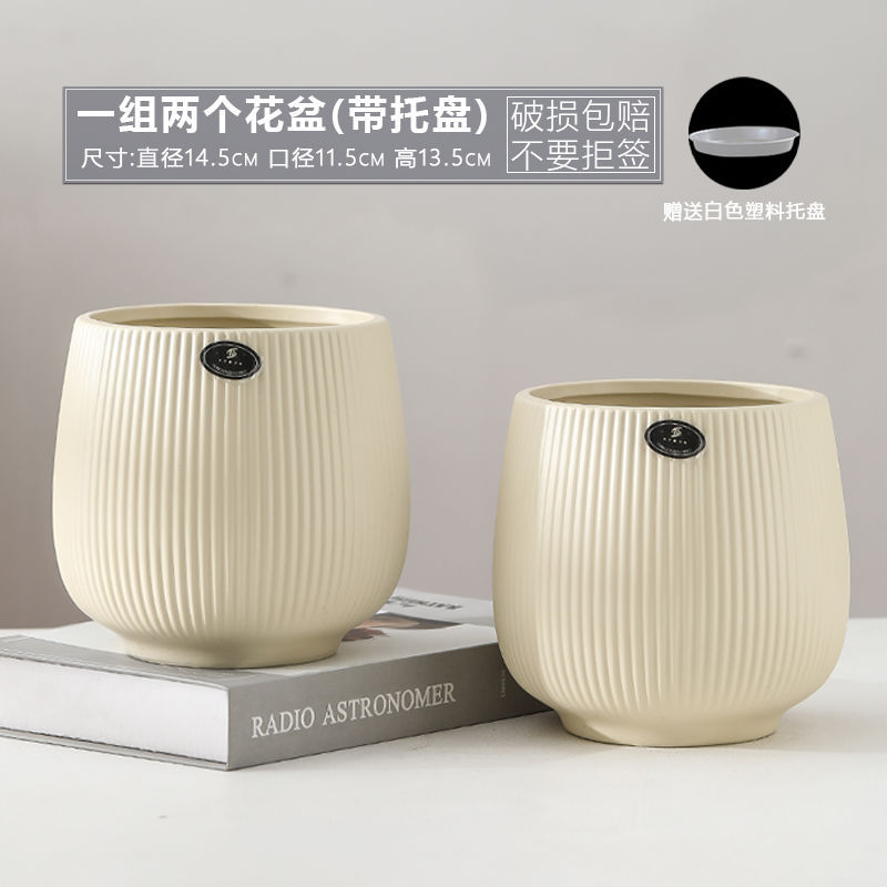 TX 큰 배 세로 패턴 - 무광택 노란색 - 중간 크기 2개(플라스틱 트레이 포함)