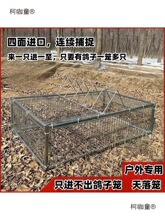 �¿����ֻ�M�������ӻ\����\����ײ�T�\ȫ�Ԅ������\������̫��