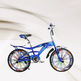 山地自行车;BMX小轮车;折叠自行车