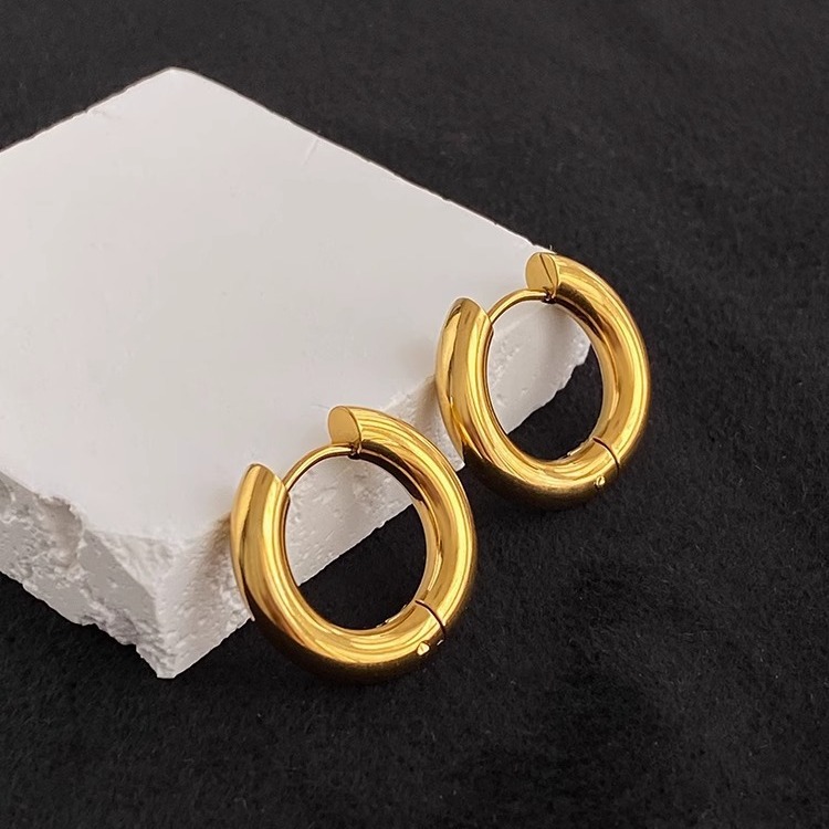 Color-free Earrings All-match Simple Titanium Steel Color-retaining Earrings Women's European and American Fashion Elegant Ins Fashionable Earrings