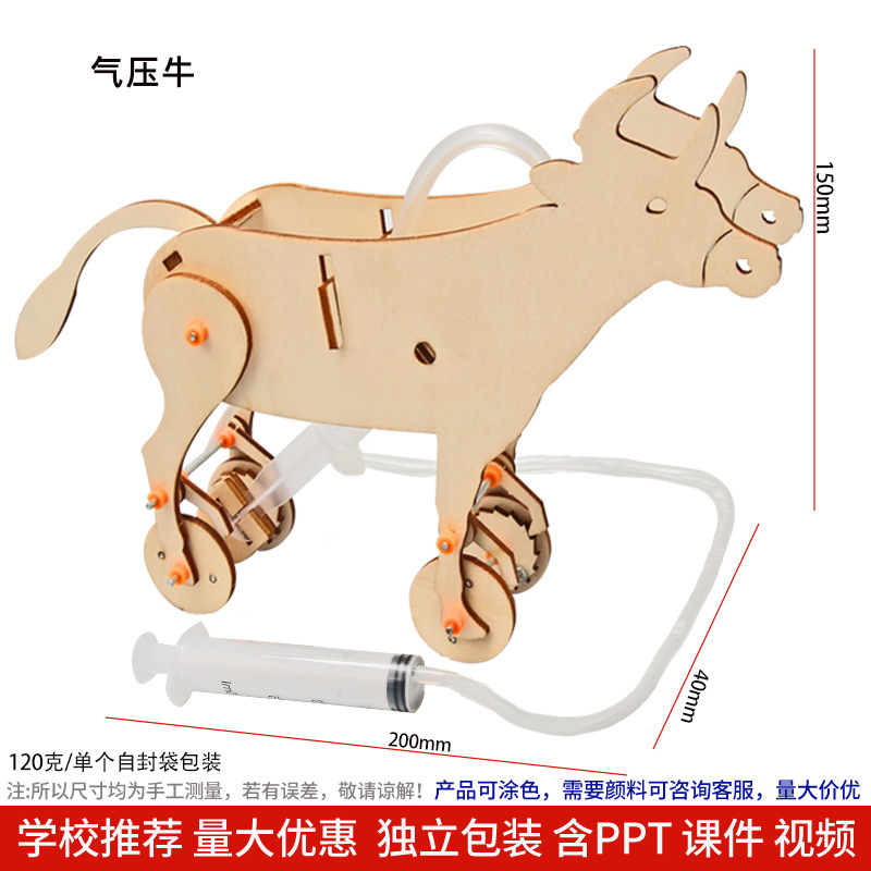 Los niños de Ciencia y Tecnología pequeña producción material didáctico kindergarten hecho a mano DIY experimento científico estudiante regalo juguetes al por mayor