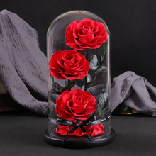 ������õ�廨�Y�иɻ��滨�����[����������õ�����նY����Ů����