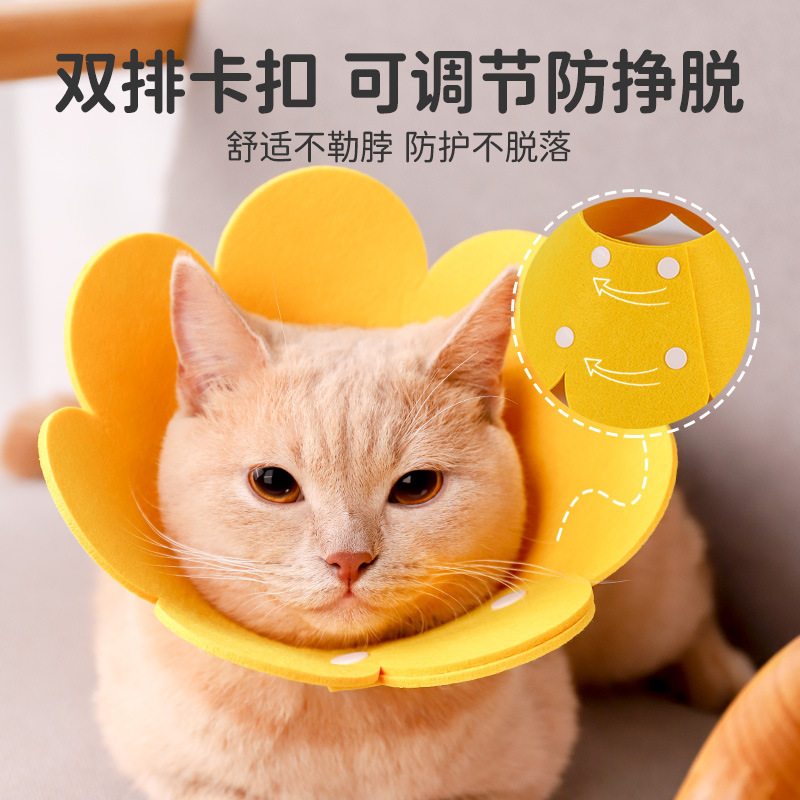エリザベスリング猫絶育首輪猫の頭カバーは首をかむのを防ぎます。|undefined